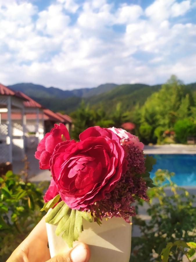 Bliss Hotel Gabala Exterior foto